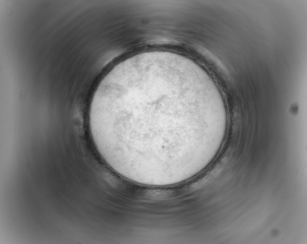 X0000103131305200809191931