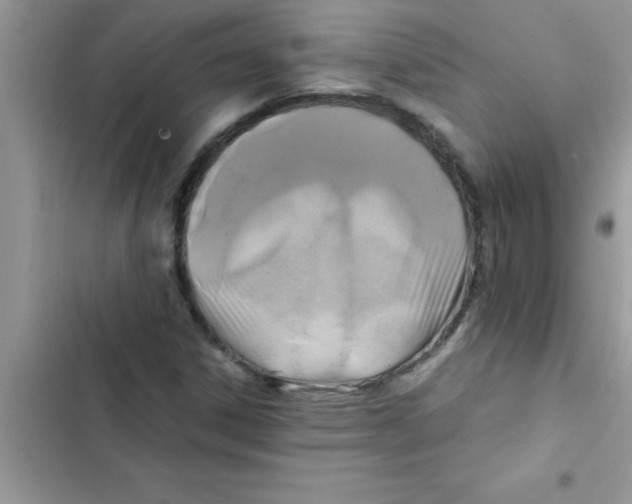 X0000103131306200809191931
