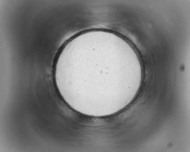 X0000103131308200809191932