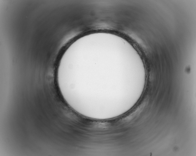 X0000103131309200809191932