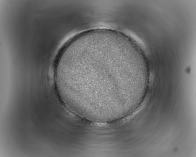 X0000103131310200809191932