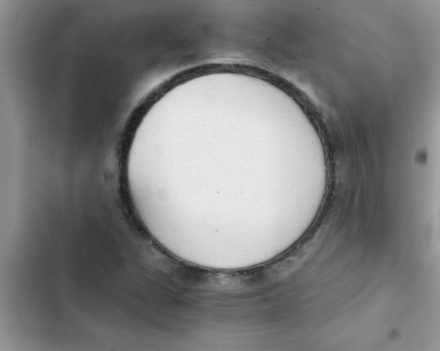 X0000103131311200809191932