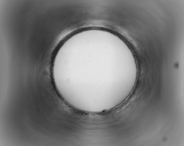 X0000103131312200809191932