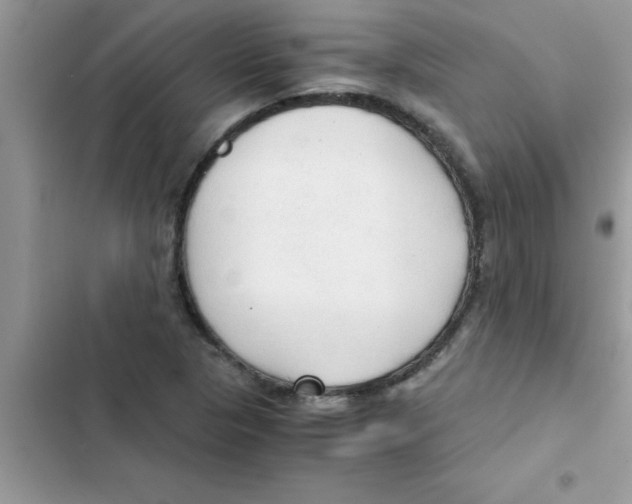 X0000103131313200809191932