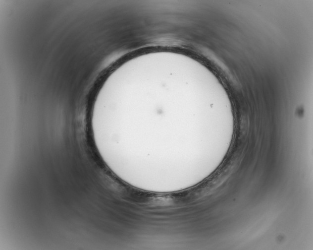 X0000103131315200809191932