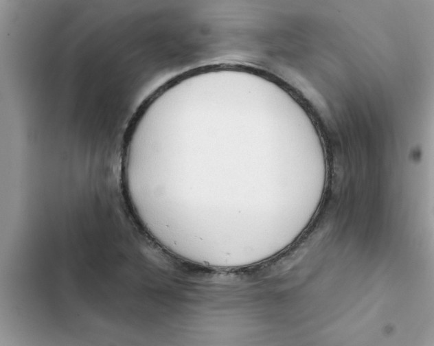 X0000103131316200809191932