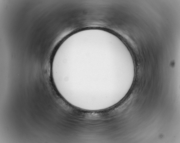 X0000103131317200809191932