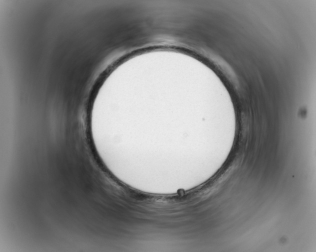 X0000103131318200809191932