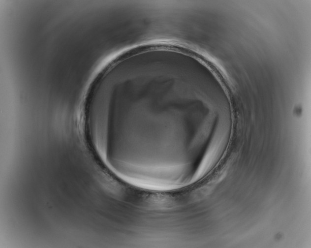 X0000103131319200809191932