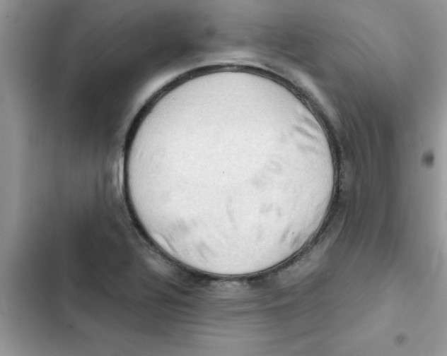 X0000103131320200809191932