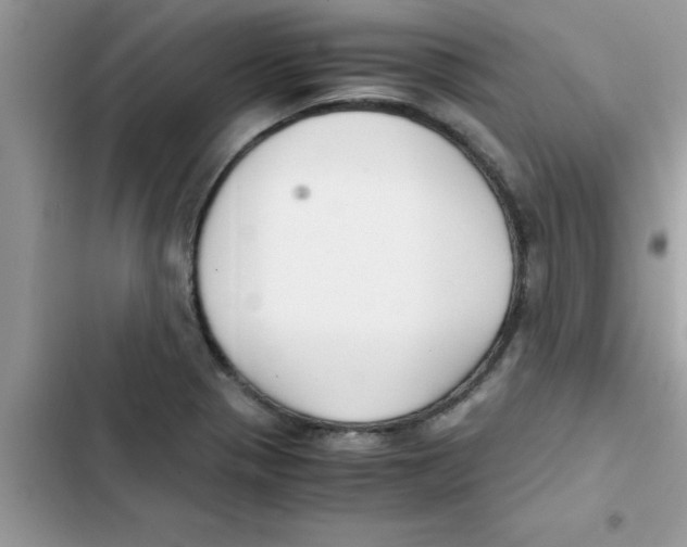 X0000103131321200809191932