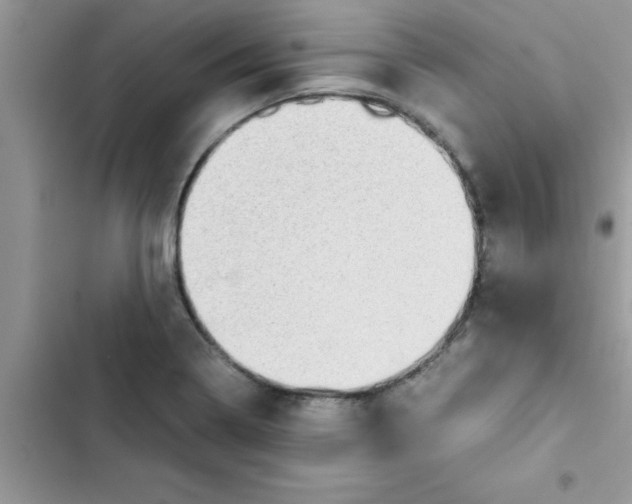 X0000103131322200809191932