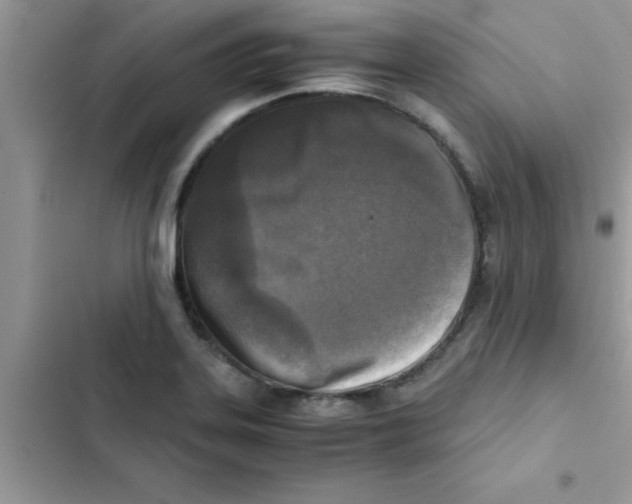 X0000103131323200809191932