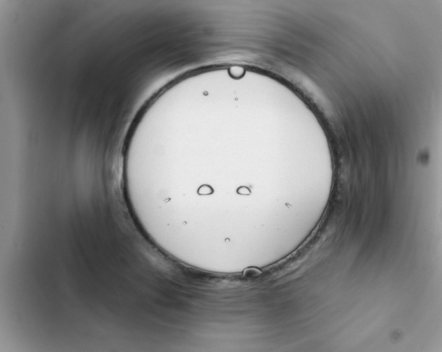 X0000103131324200809191932