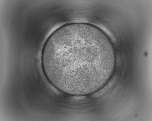 X0000103131325200809191932
