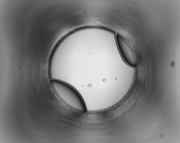 X0000103131326200809191932