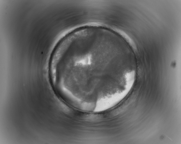 X0000103131327200809191932