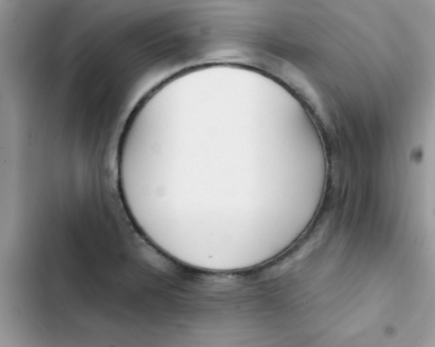 X0000103131328200809191932