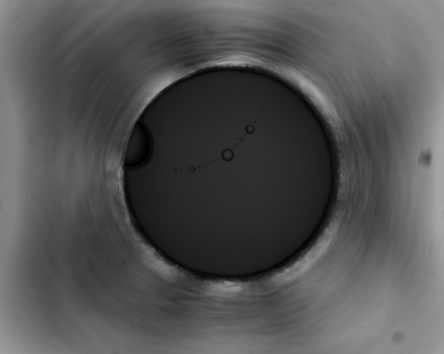 X0000103131329200809191932