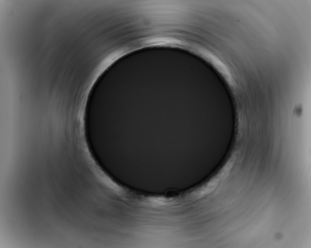 X0000103131330200809191932