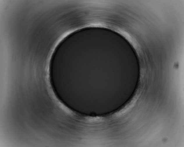 X0000103131331200809191932