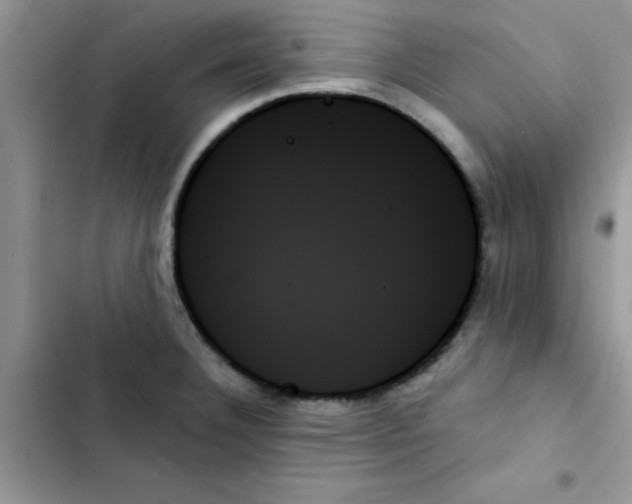 X0000103131332200809191932