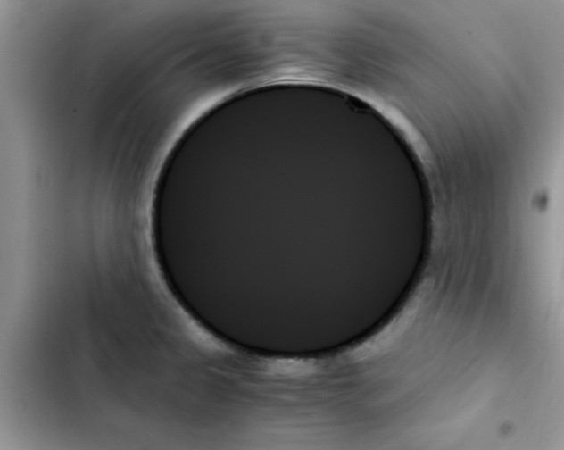 X0000103131333200809191932