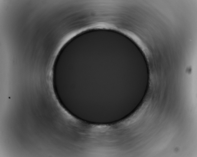 X0000103131335200809191932