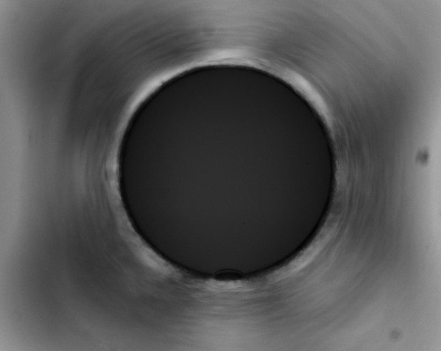 X0000103131336200809191932