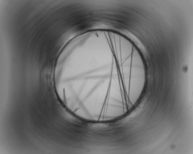 X0000103131337200809191932