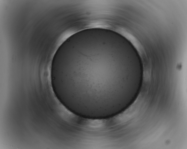 X0000103131338200809191932