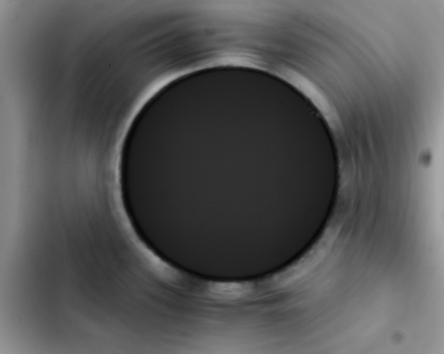 X0000103131339200809191932