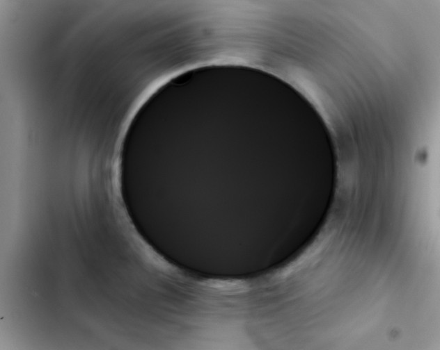 X0000103131340200809191932