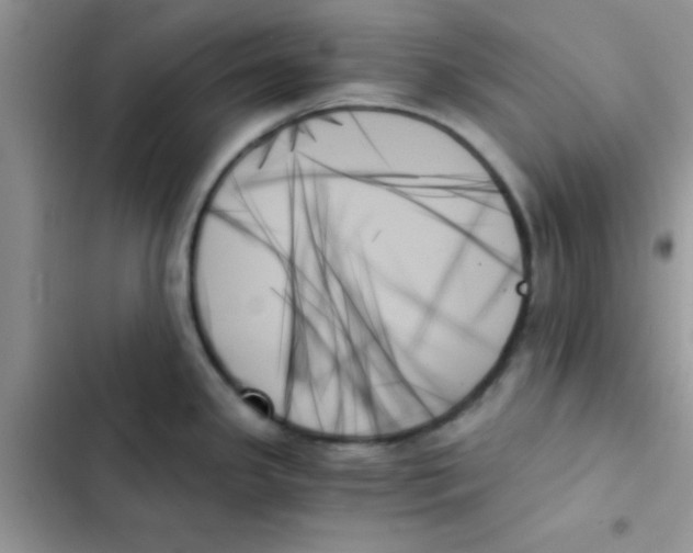 X0000103131341200809191932