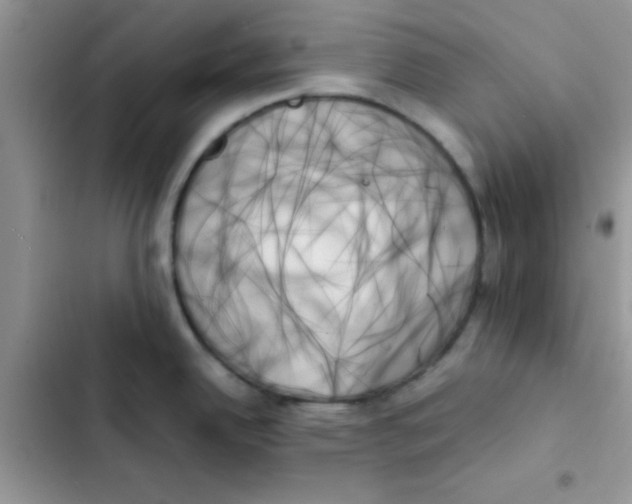 X0000103131342200809191932