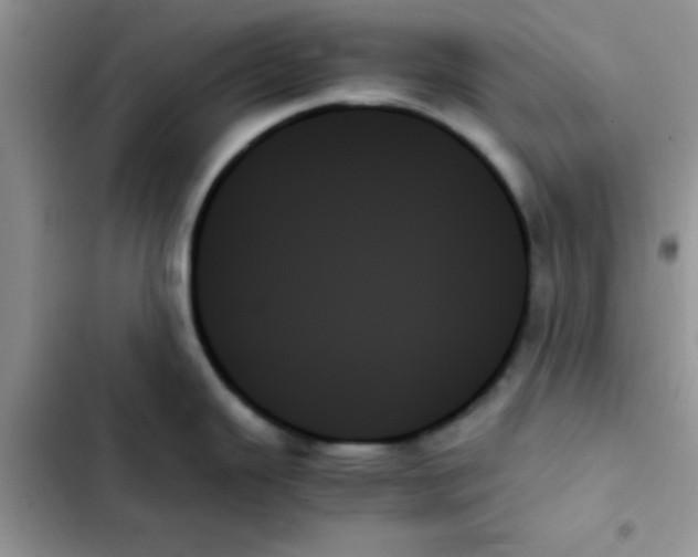 X0000103131343200809191932