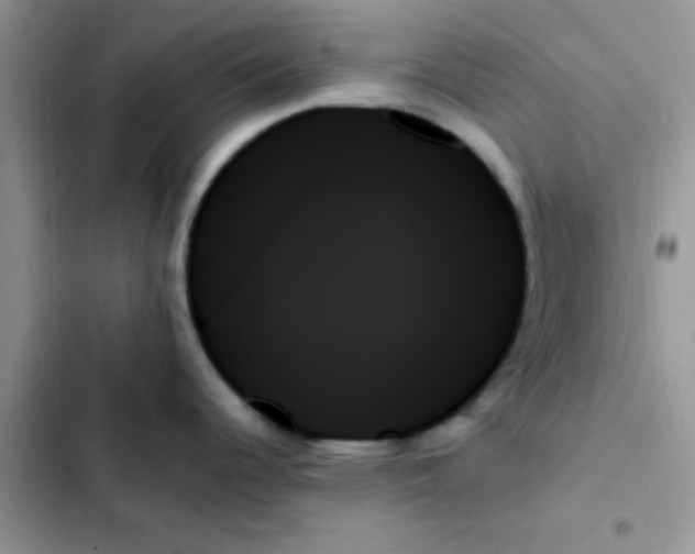 X0000103131344200809191932