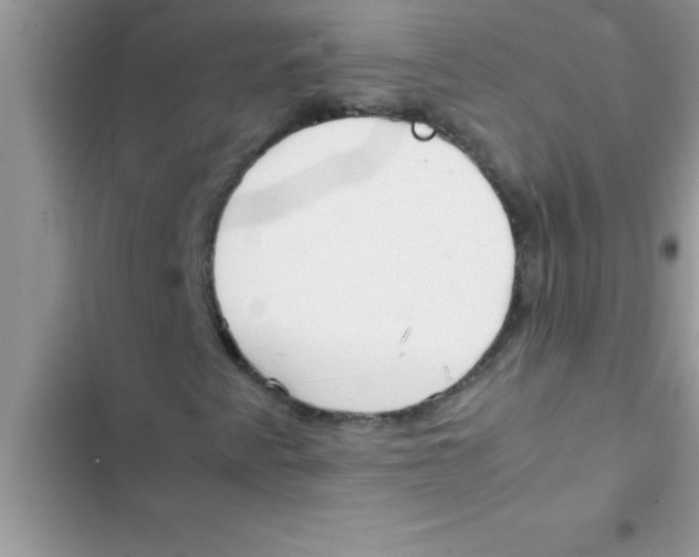 X0000103131345200809191931