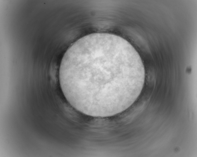 X0000103131346200809191931
