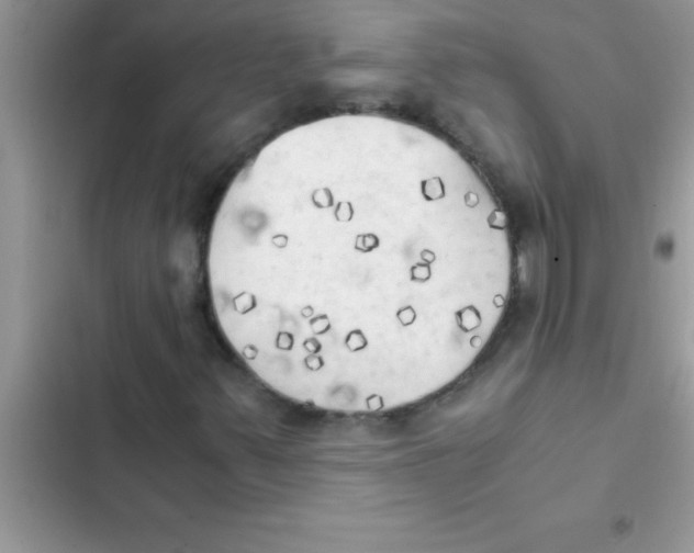 X0000103131347200809191931