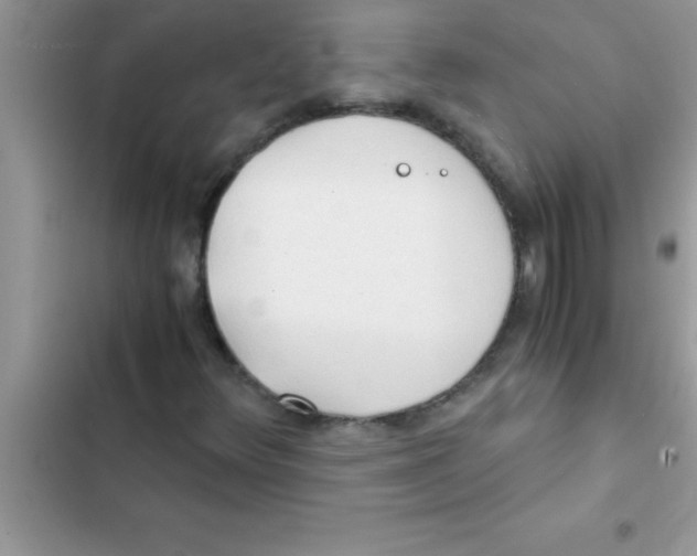 X0000103131348200809191931