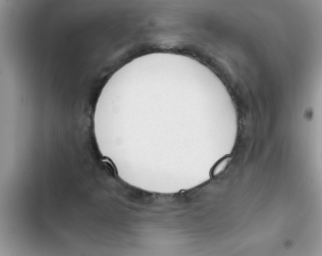 X0000103131349200809191931