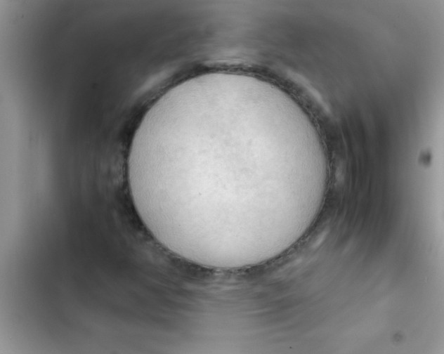 X0000103131350200809191931