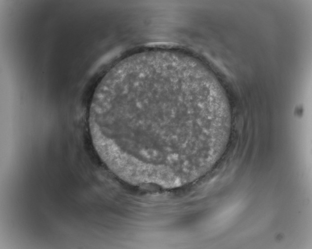 X0000103131351200809191931