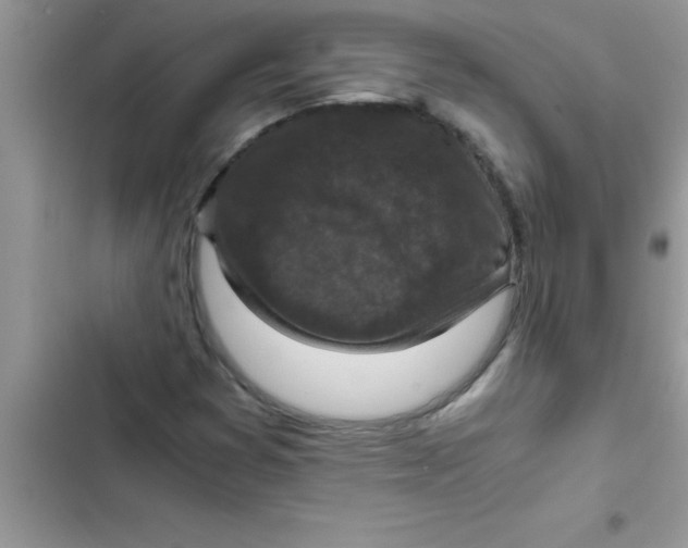 X0000103131353200809191931