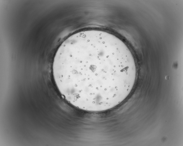 X0000103131355200809191931