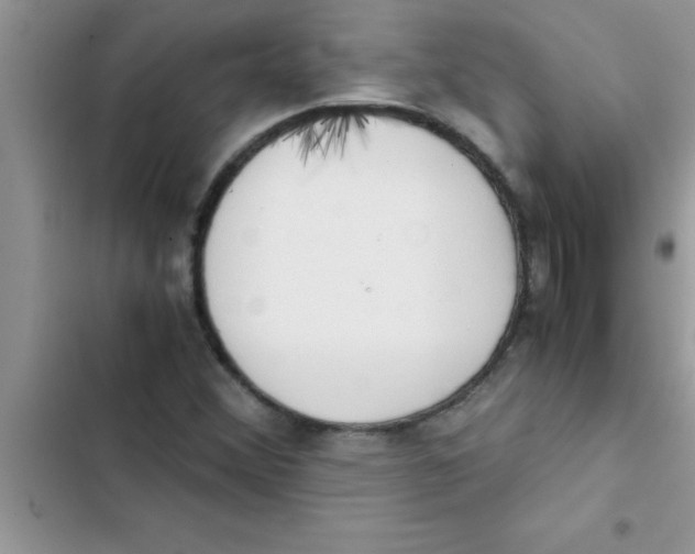 X0000103131356200809191931