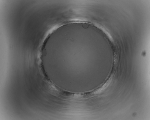X0000103131357200809191931