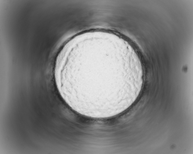 X0000103131359200809191931