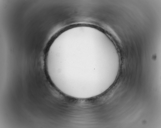 X0000103131360200809191931